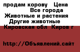 продам корову › Цена ­ 70 000 - Все города Животные и растения » Другие животные   . Кировская обл.,Киров г.